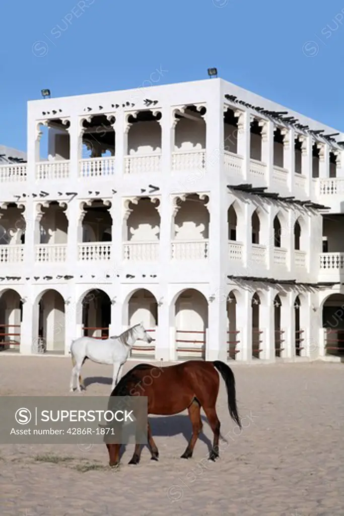 Purebred Arabian horses in a paddock opposite the Emiri Diwan palace in central Doha. The ornate stables behind are part of the redeveloped Souq Waqif market area