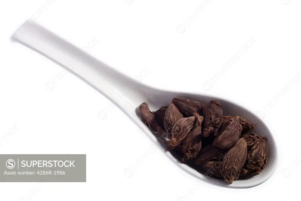 Black cardamom seeds in a spoon, part of a series of spices all shot in the same way
