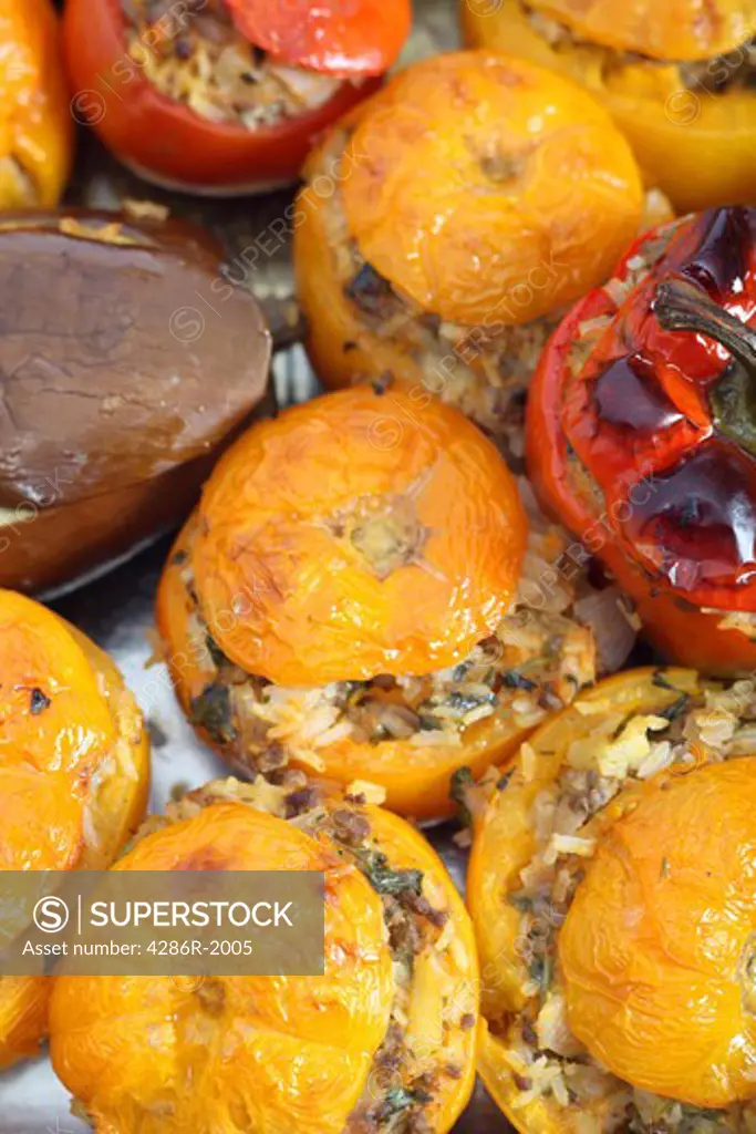 Traditional Greek-style stuffed vegetables fresh from the oven, with yellow and red tomatoes and an aubergine.