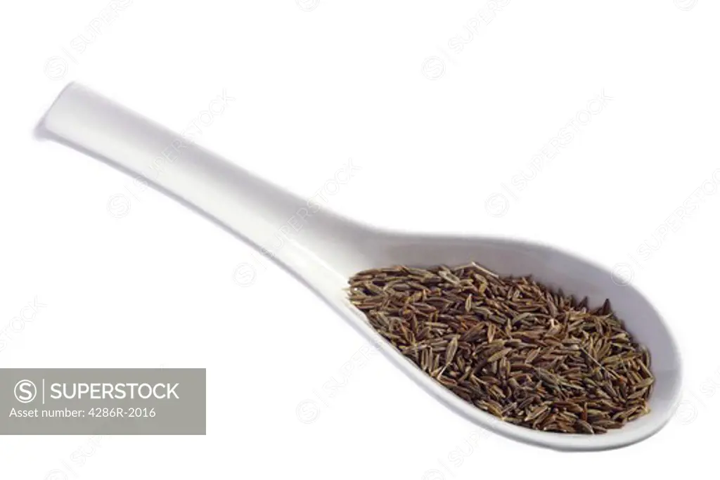 Cumin seeds on a spoon. This is part of a series of spices shot in identical conditions