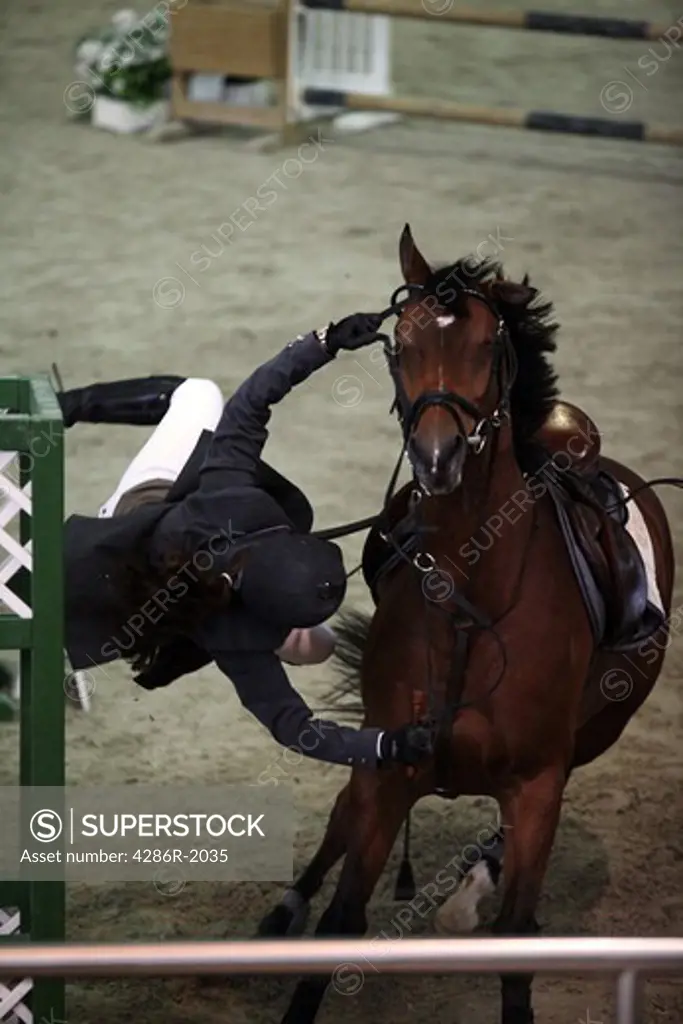A competitor falling from her horse in a showjumping regional competition at the Equestrian Federation indoor ring in Doha Qatar