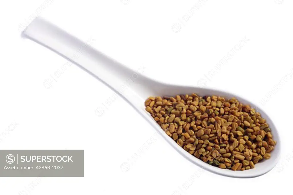 A spoonful of fenugreek seeds, one of a series of spices all shot in the same way