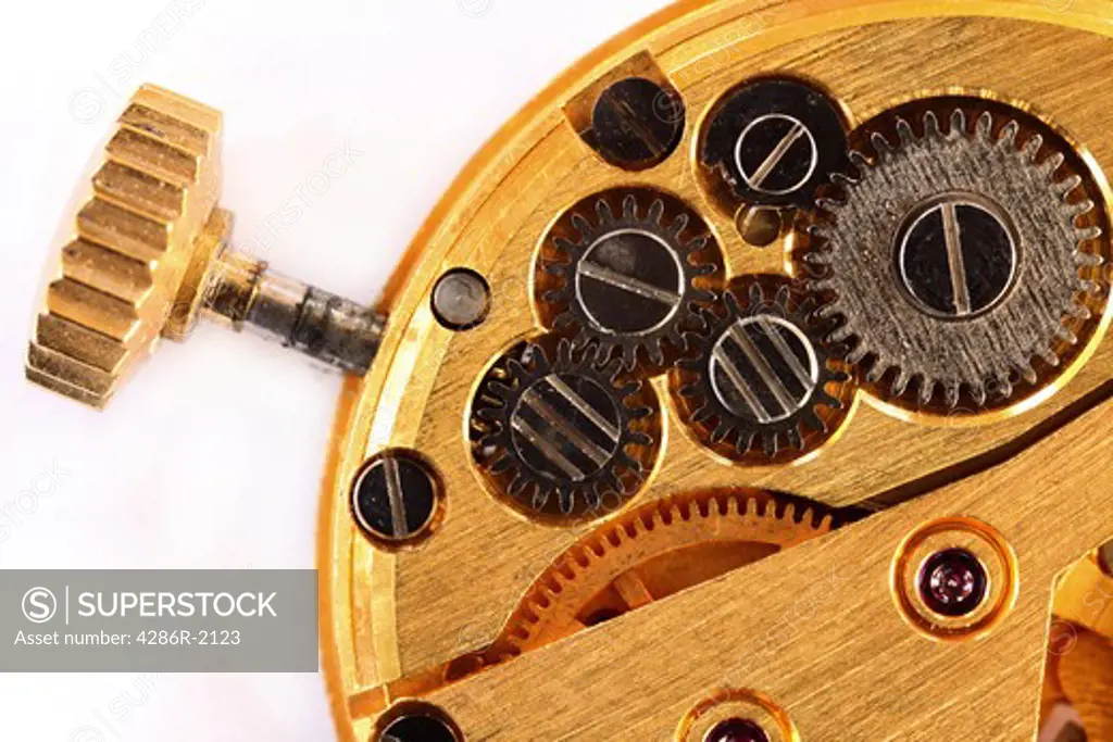 Macro photo of the workings of a wrist watch