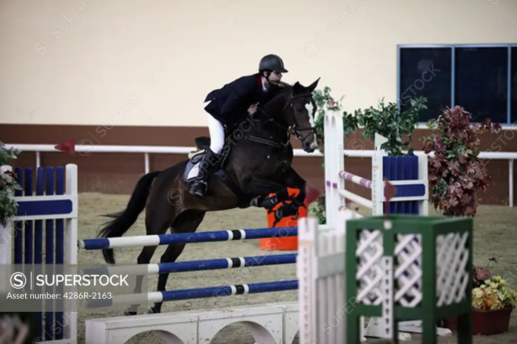 A competitor in a regional show-jumping event at the Qatar Equestrian Federation's indoor Arena in Doha