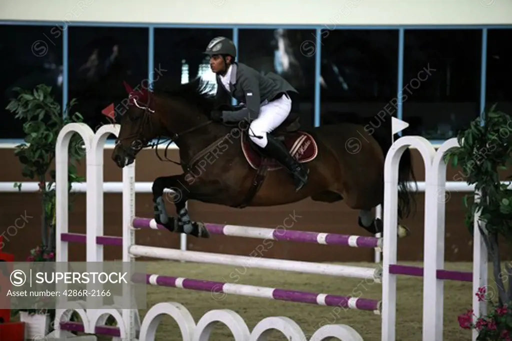 Qatari showjumper Al Haidan competing in a regional competition at the Qatar Equestrian Federation's indoor arena