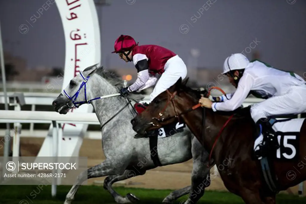 Two horses race towards the finish line in Doha, Qatar, in the second race of the fifth meeting of the 2009-10 season, held at the New Rayyan racetrack at dusk on Nov 5, 2009. Note the Arabic writing on the finish post - or horseshoe - on the left.