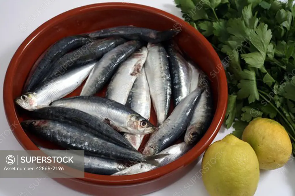 A rustic bowl containing fresh raw sardines, cleaned and decapitated, with a bunch of parsley and lemon, used in a traditional Greek recipe for baked sardines, The fish are an excellent source of Omega-3 oils and   Vitamin D.