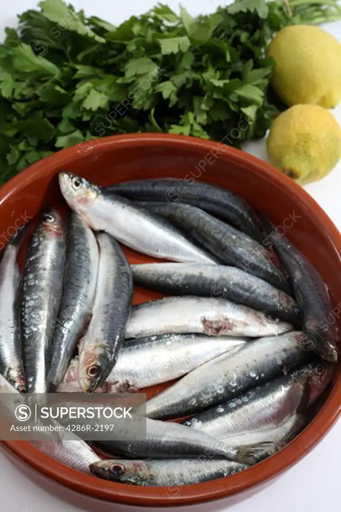 A rustic bowl containing fresh raw sardines, cleaned and decapitated, with lemon and parsley. This fish is rated one of the best Omega-3 oil sources, as well as being an excellent source of Vitamin D and co-enzyme Q10