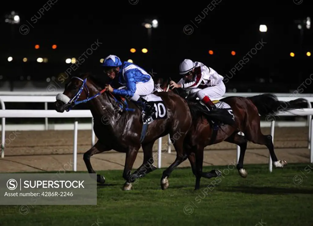The two leading horses dash for the line in the third race of the fifth meeting of the 2009-10 season at the New Rayyan racetrack in Doha, Qatar