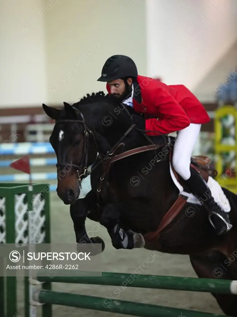 A regional showjumping competition at the Qatar Equestrian Federation's indoor arena in Doha