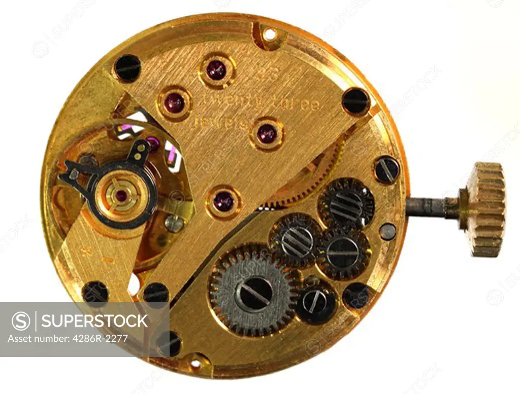 View of the back of the workings of a wristwatch