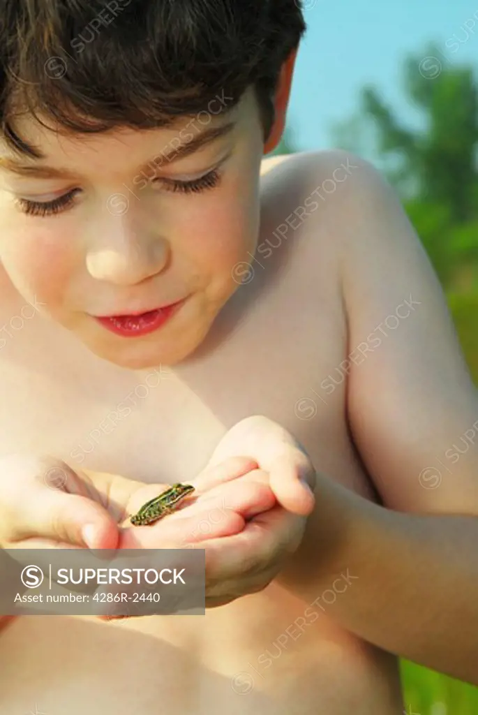Young boy holding a tiny green frog in his hands