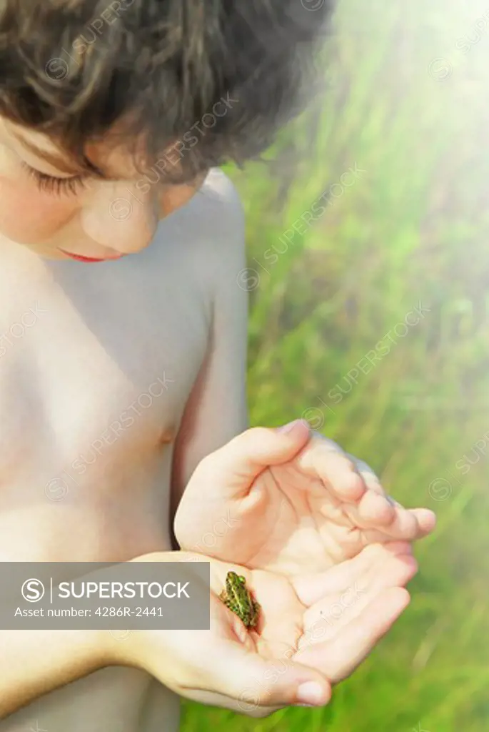 Young boy holding a tiny frog in his hands