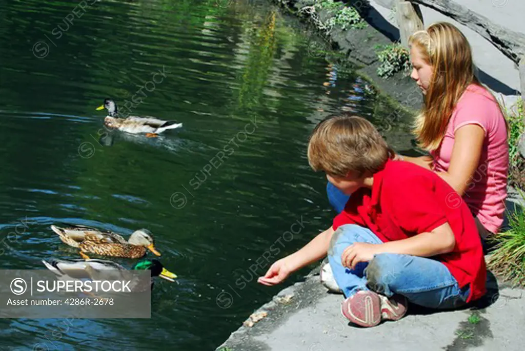 Children feeding ducks at the pond in a park