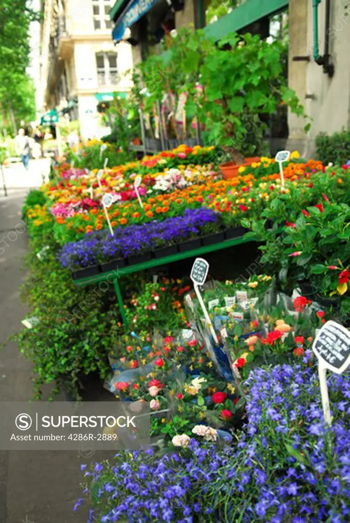 Colorful flower stand on a sidewalk in Paris, France.