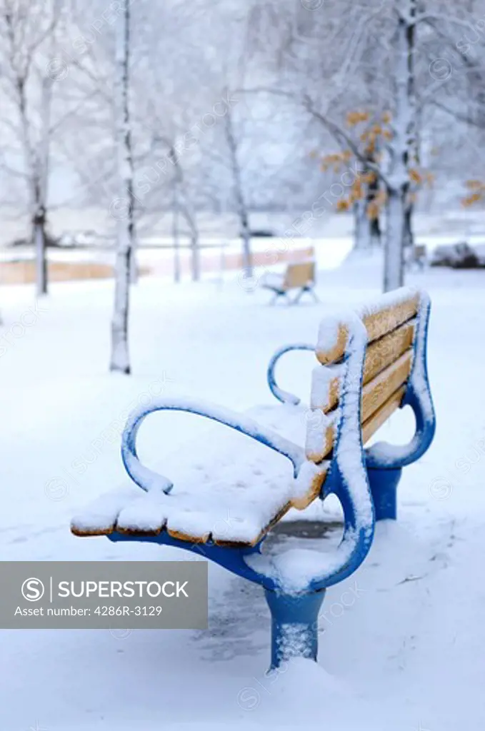 Winter bench covered with snow in an empty park. Beach area, Toronto, Canada.