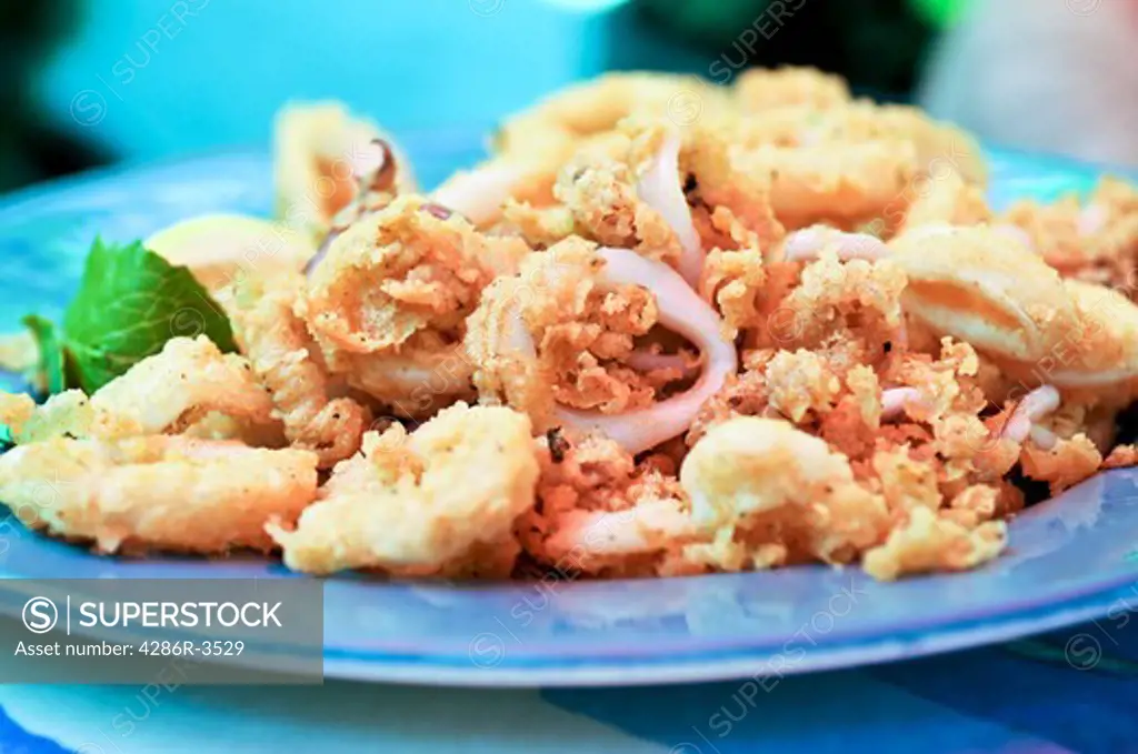 Deep fried calamari rings on a dish
