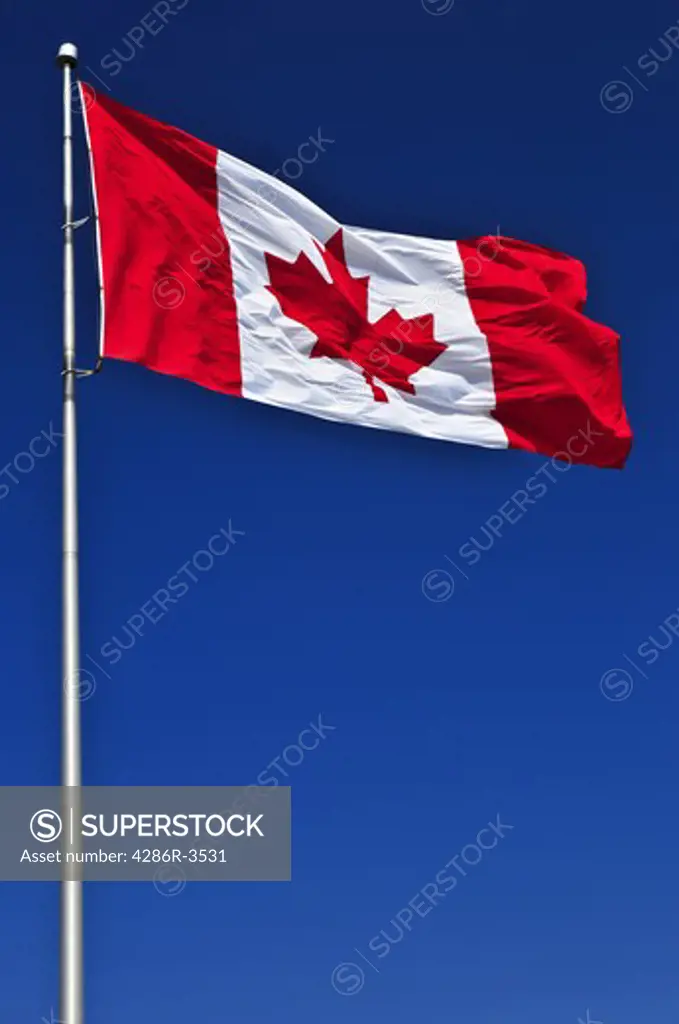 Flag of Canada waving in the wind on blue sky background