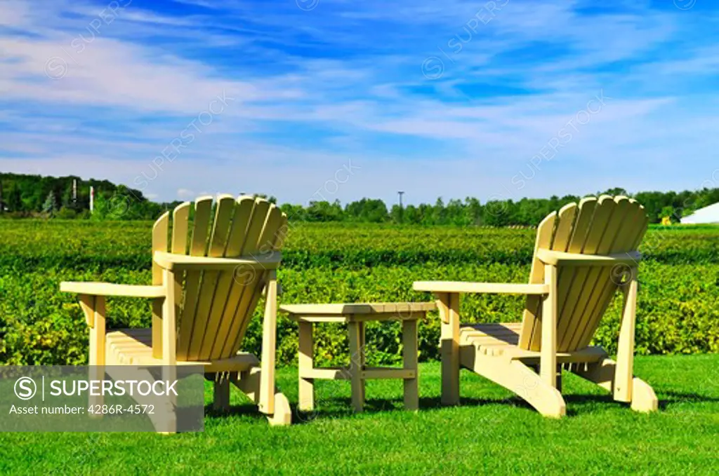 Muskoka chairs and table near vineyard under blue sky