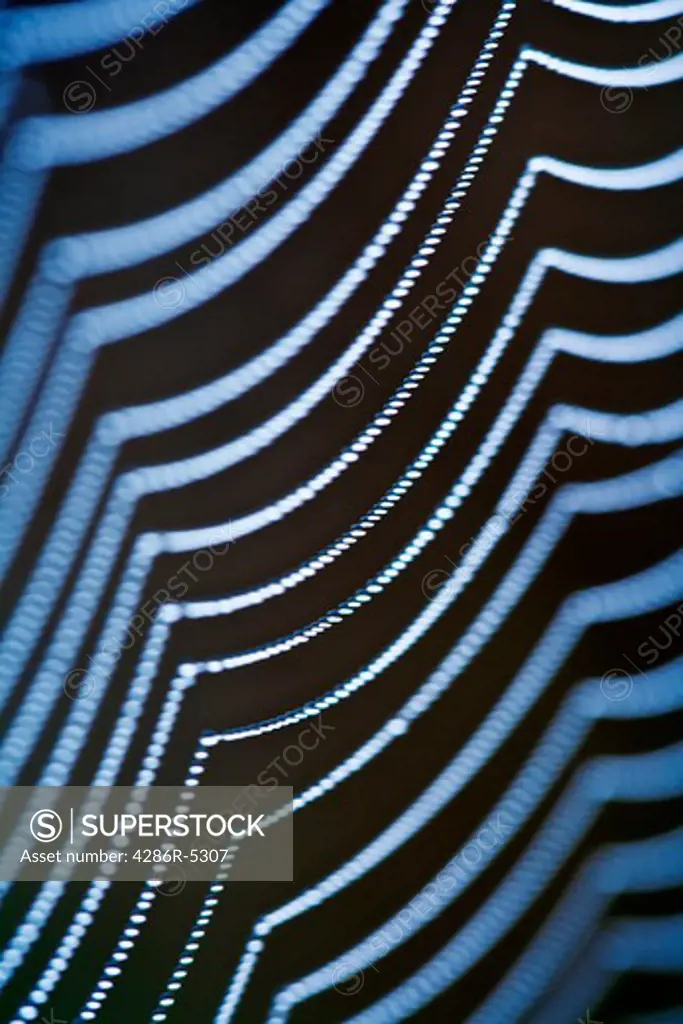 extreme closeup of spiderweb with dew waterdrops - shallow depth of field