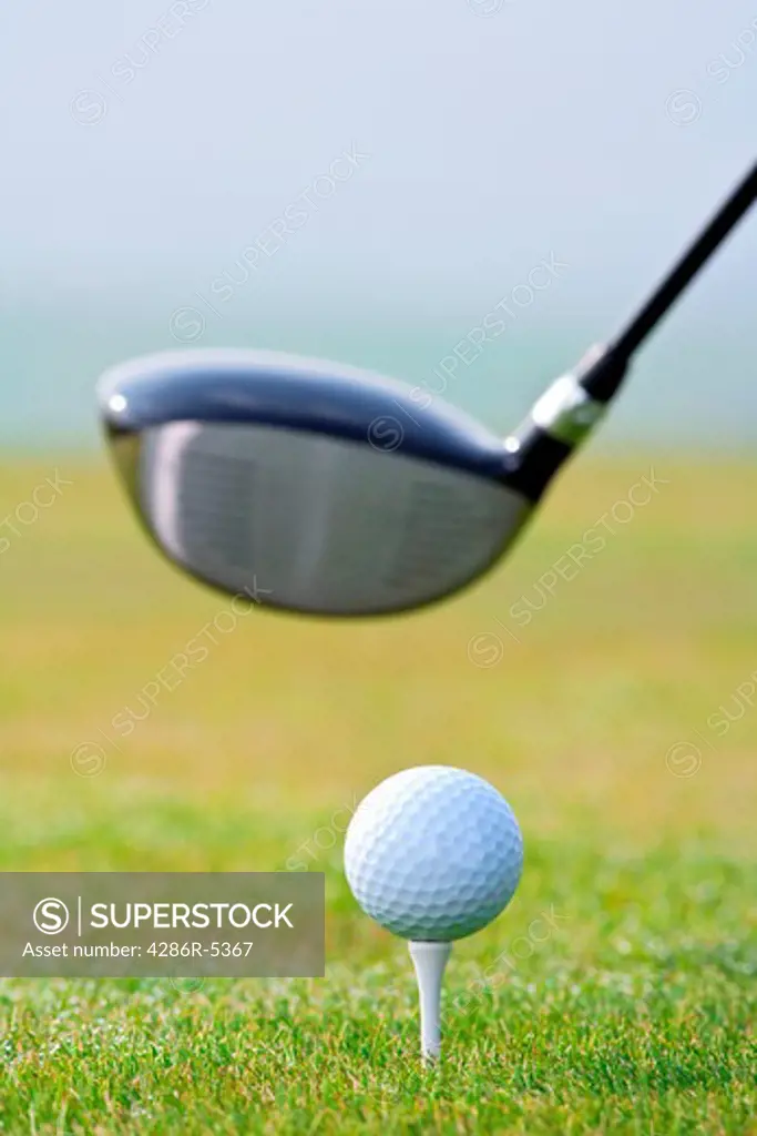 closeup of a golf ball and club on green grass - club out of focus