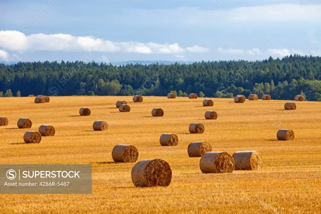 czech republic, southern bohemia - bales of hay