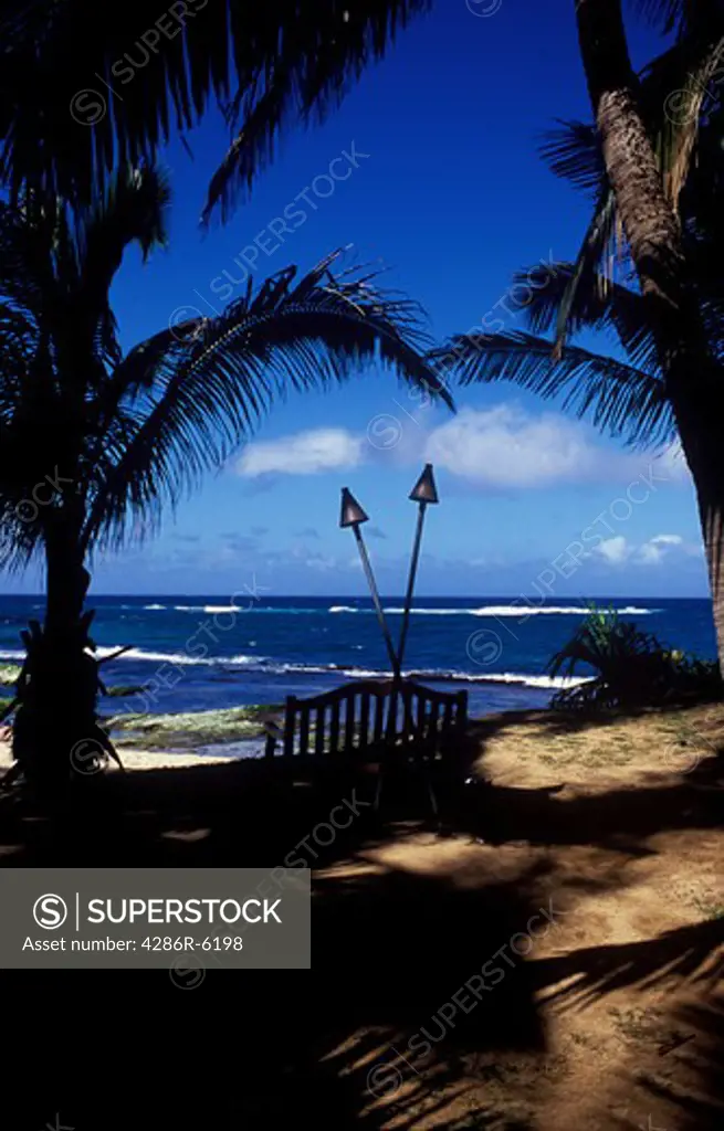 View from the beach at mama s fishouse looking toward Ho okipa Beach along the Hana Highway in Maui Hawaii