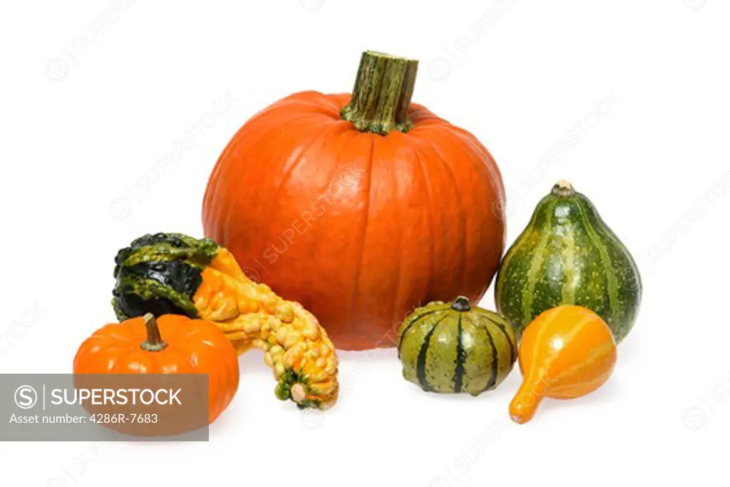 Pumpkin and gourds
