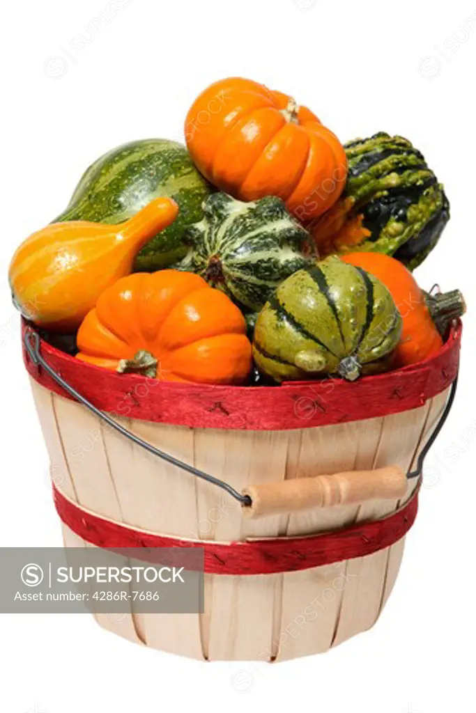 Basket of gourds