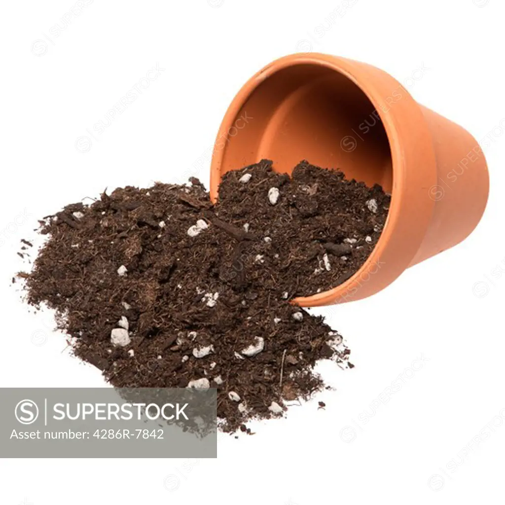 Potting soil spilling out of pot