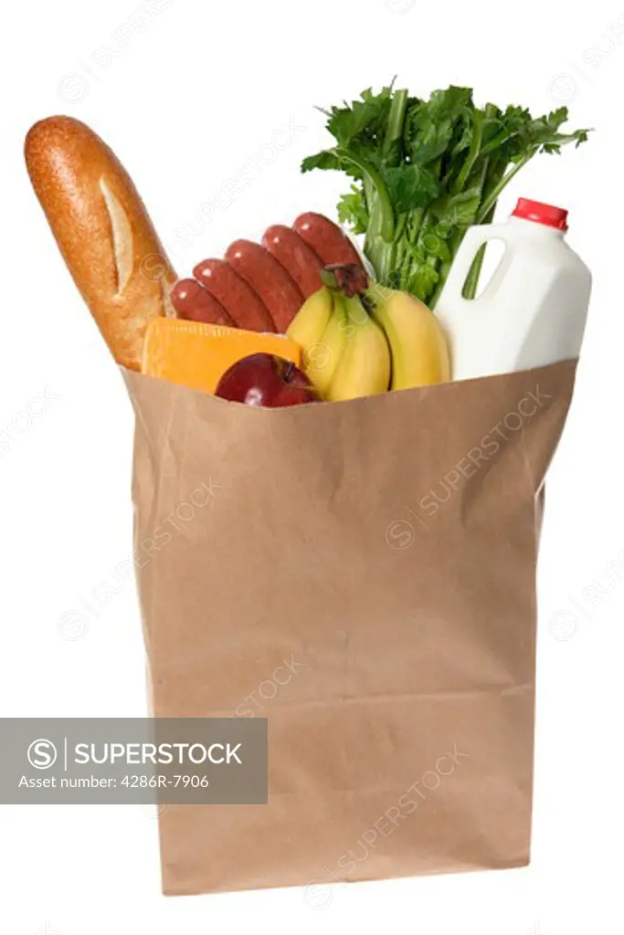 Grocery bag full of groceries