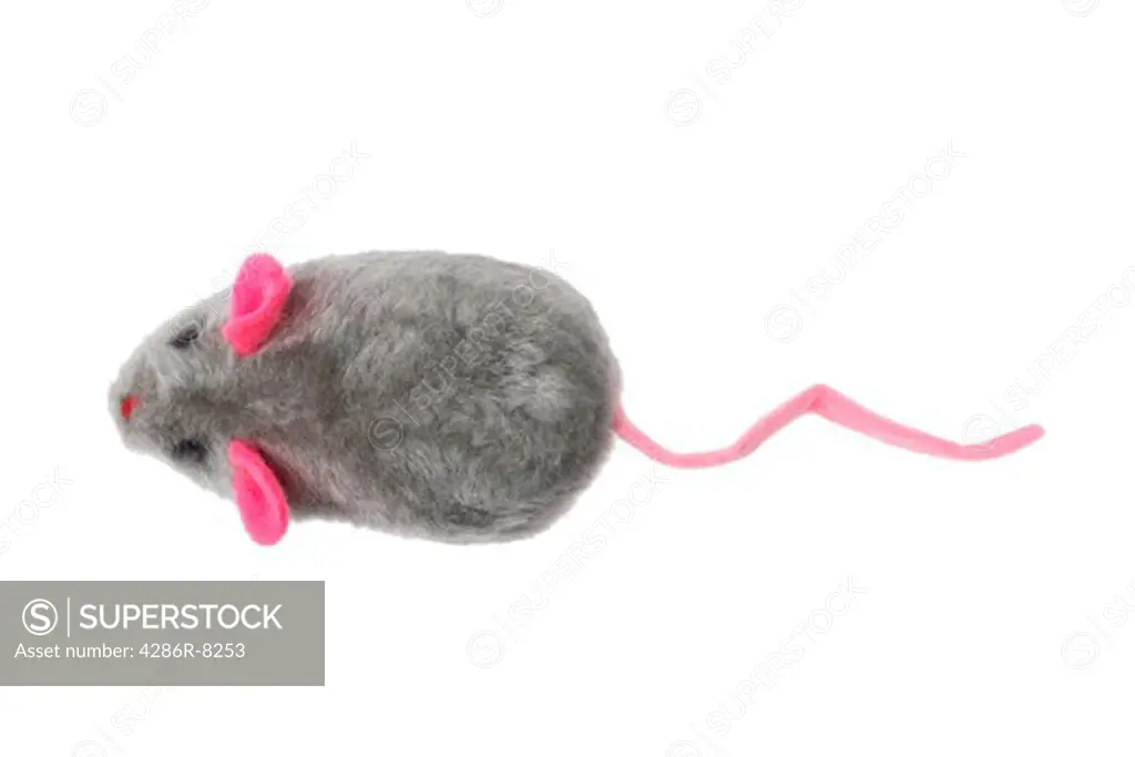 Toy mouse