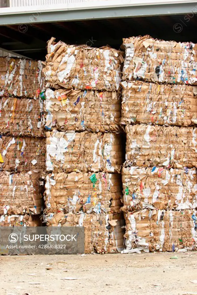 Cardboard stacked in bales at recycle center