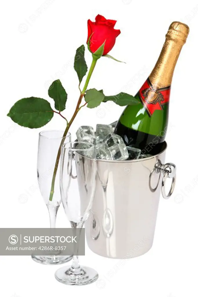 Champagne a single long stem rose