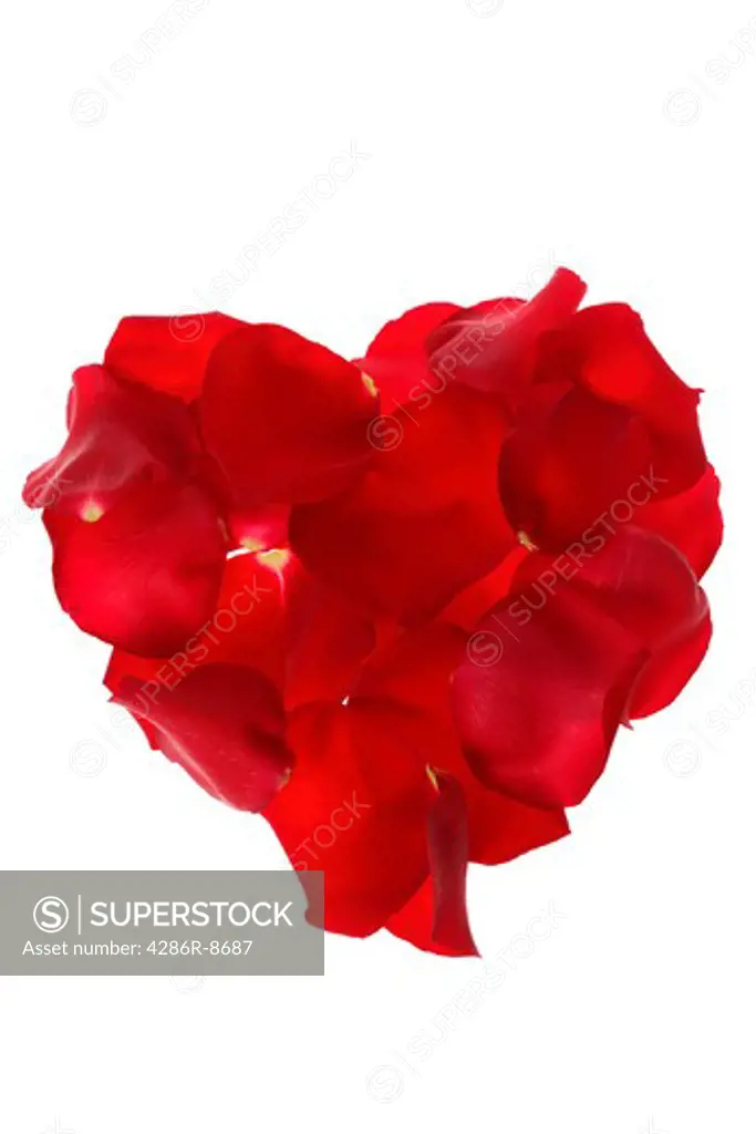 Red rose petals in shape of heart