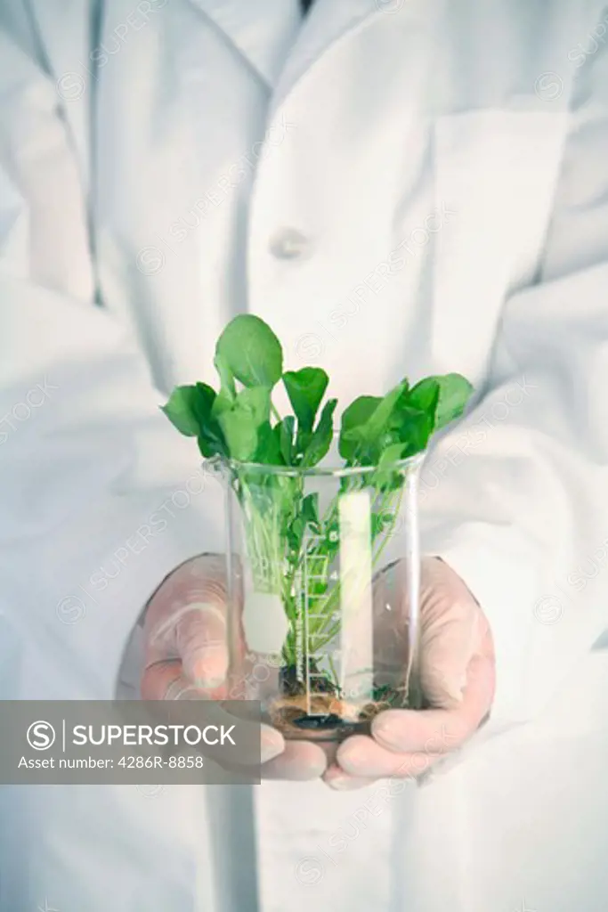 Woman in lab coat holds container with plants