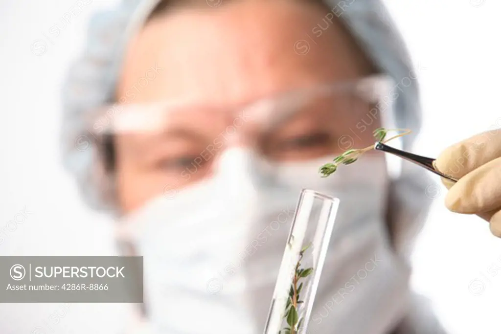Woman in laboratory examines plant material
