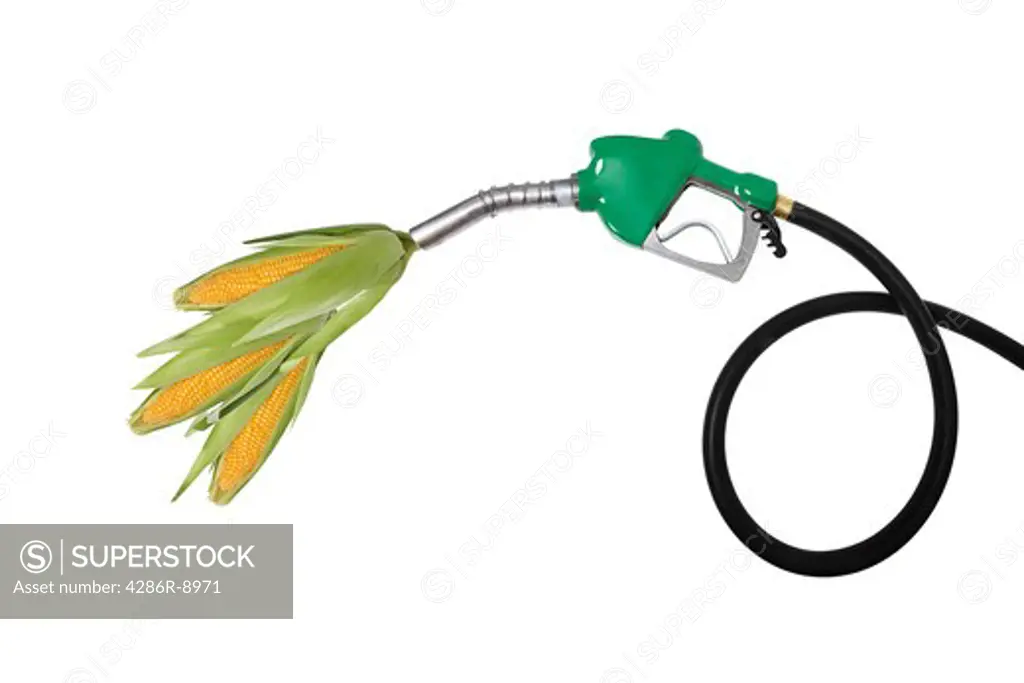 Corn coming out of gasoline nozzle