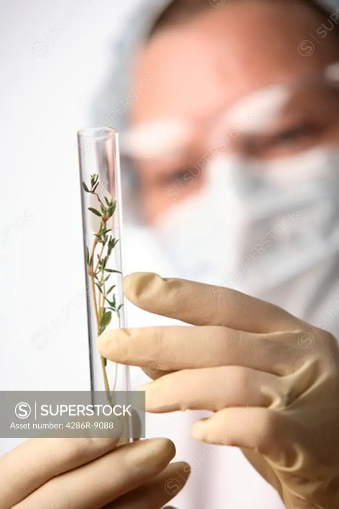 Woman in laboratory examines plant material