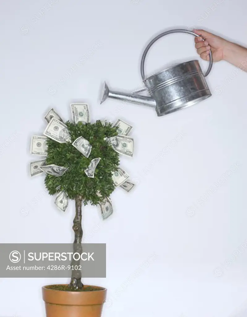 Money growing on a tree with watering can