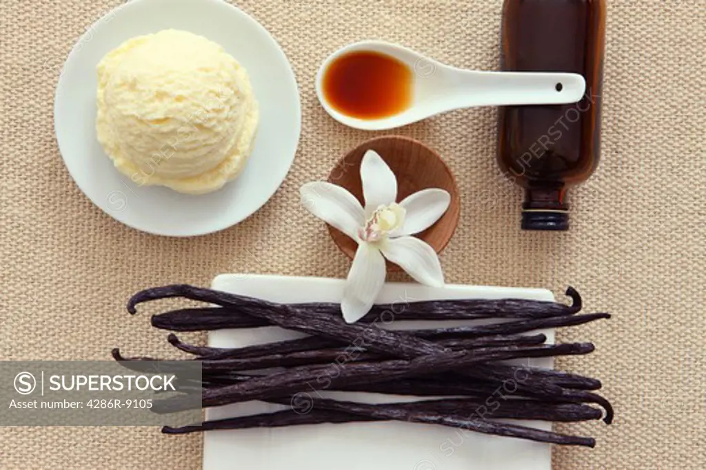 Vanilla Still Life with Vanilla Pods, Vanilla Extract, Vanilla Orchid and Vanilla Ice Cream