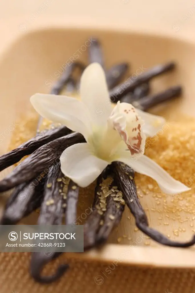 Vanilla Beans, Orchid and Raw Sugar