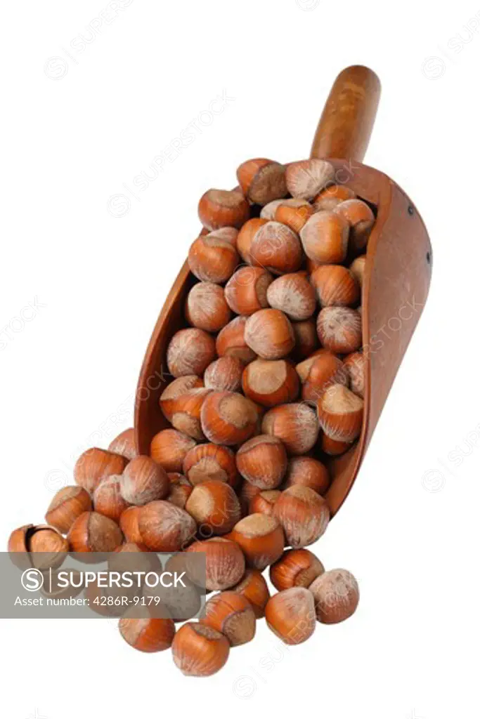 Wooden scoop of hazelnuts, cut out on white background