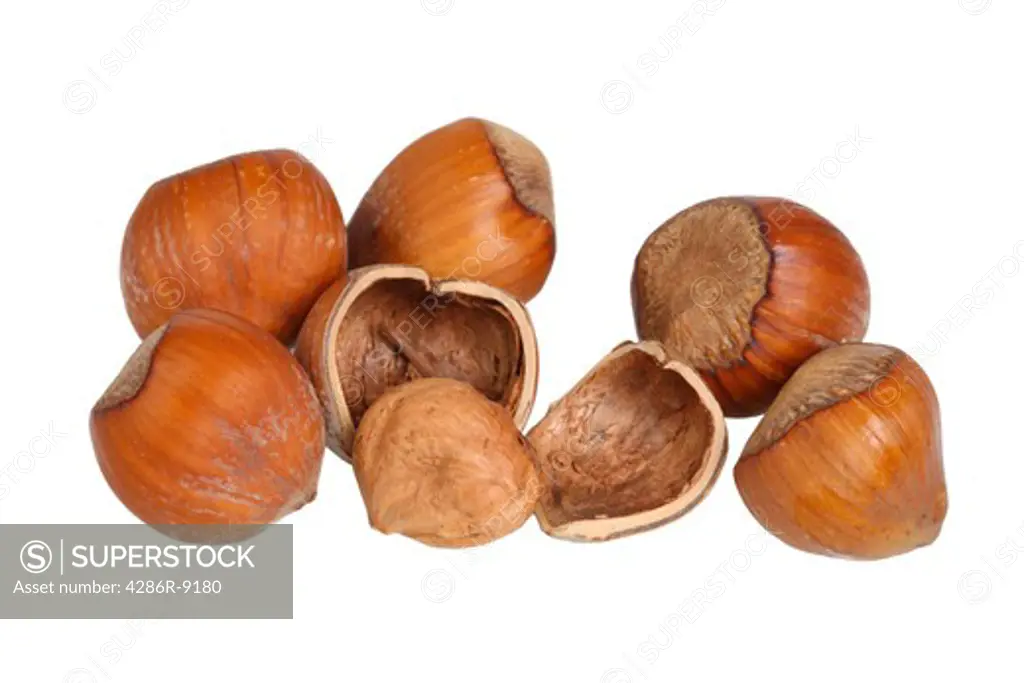 Close up of hazelnuts, cut out on white background