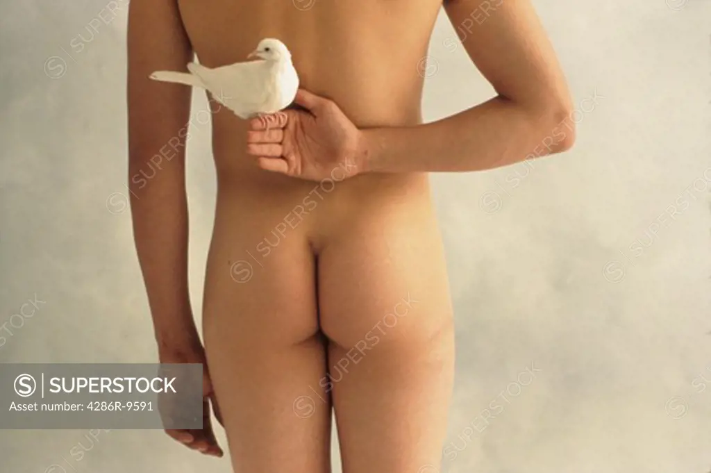 Posterior view of a nude man with his right arm behind him holding a white dove in his hand.