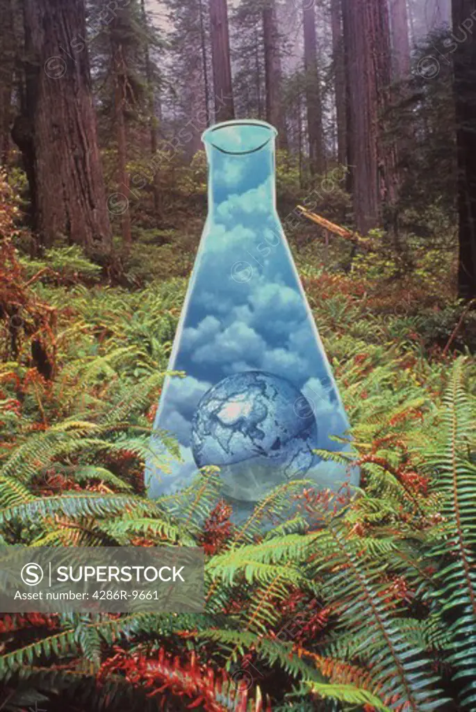 Computer generated image of a laboratory flask with a globe inside of it superimposed onto a forest floor.