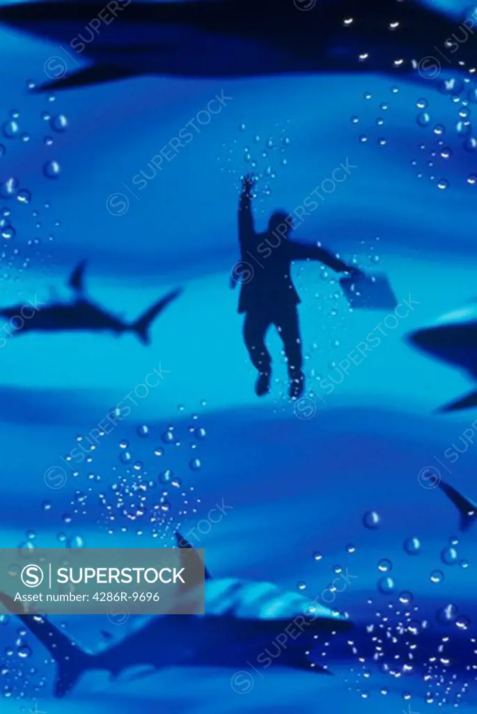 Conceptual image of a businessman swimming with the sharks denoting business competition.