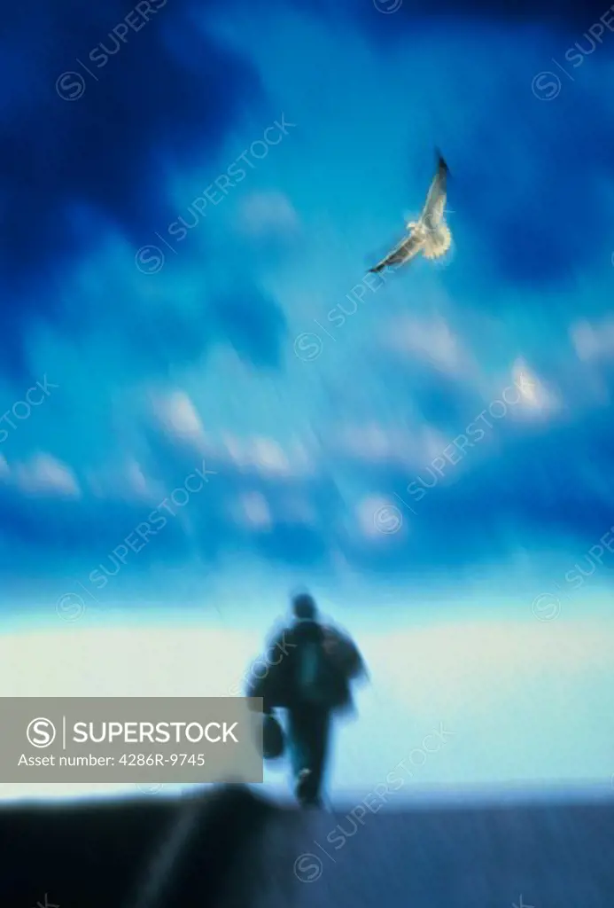 Blurred image of a man running in the street with a briefcase in hand and a dove in the clouds above him.