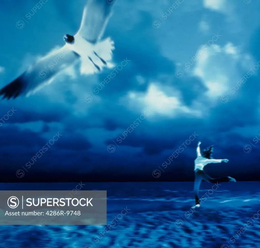 Pair of seagulls flying over the ocean water with a woman on the beach in the background.