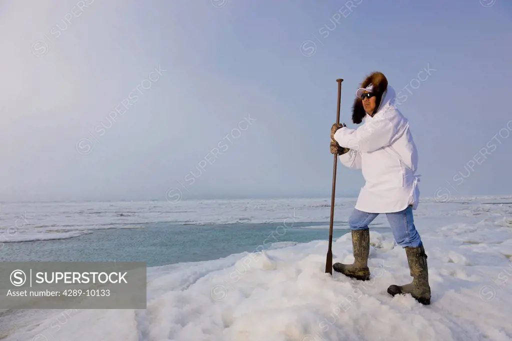 Male Inupiaq Eskimo hunter wearing his Eskimo parka Atigi and carrying a walking stick while looking out over the Chukchi Sea, Barrow, Arctic Alaska, ...